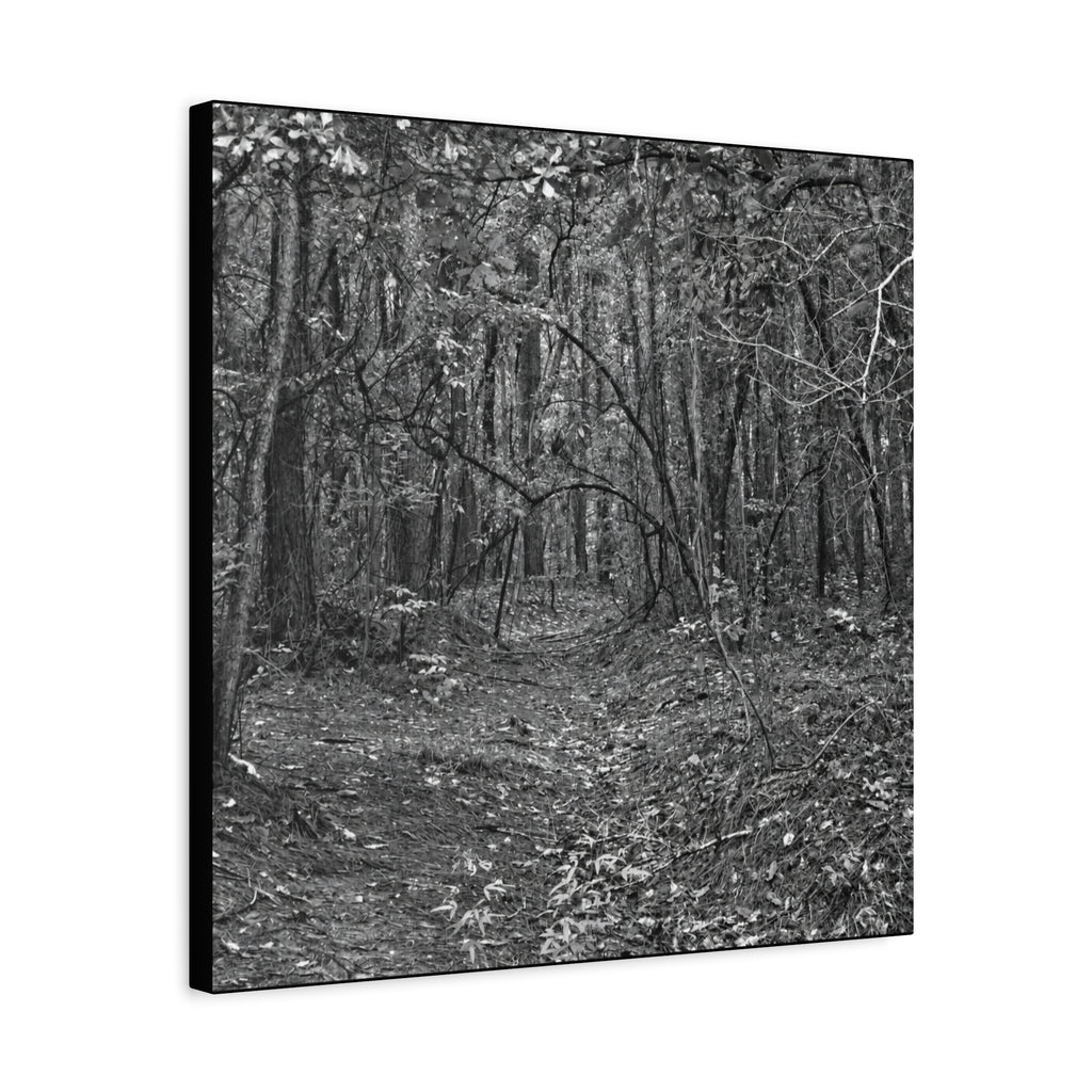 Forest Path Canvas