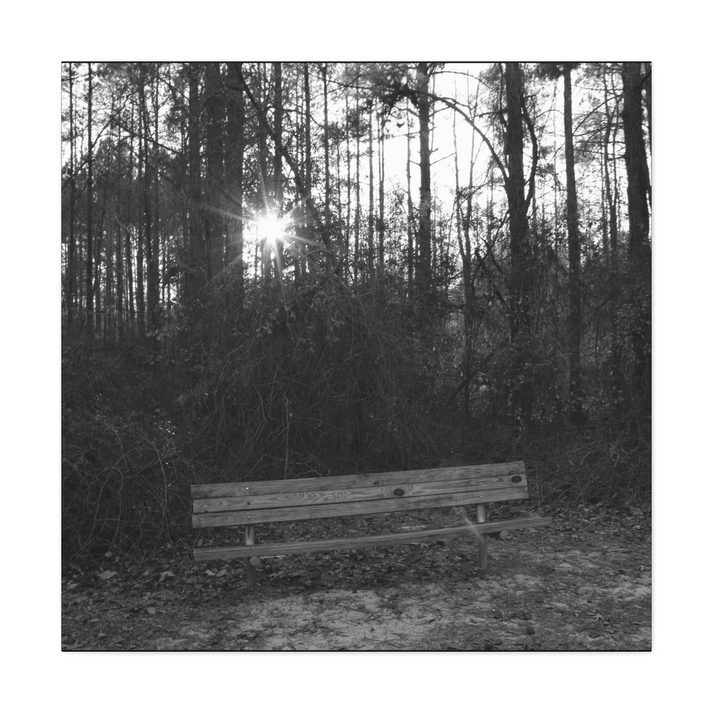 Forest Bench Canvas