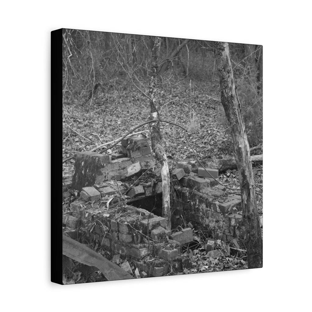 Forest Rubble Canvas
