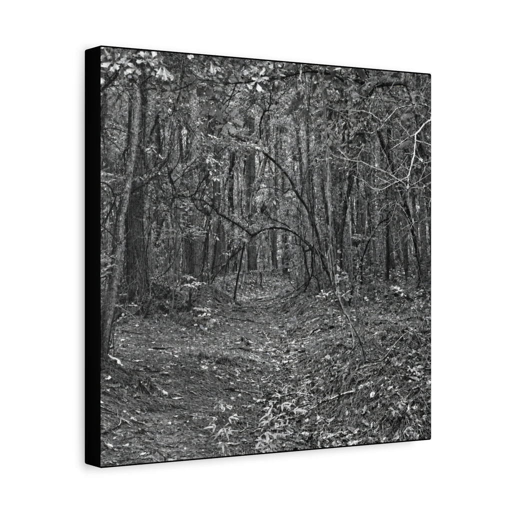 Forest Path Canvas