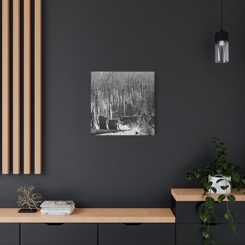 Marsh Stumps Canvas