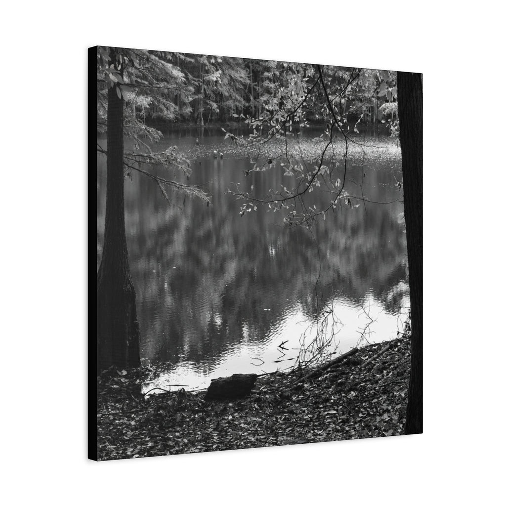 Marsh Edge 2 Canvas