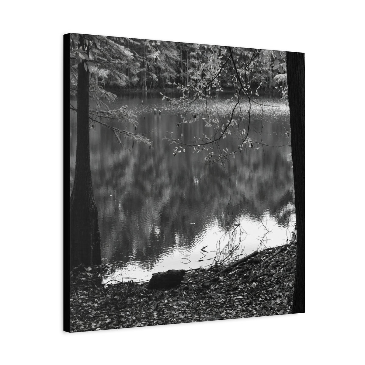 Marsh Edge 2 Canvas